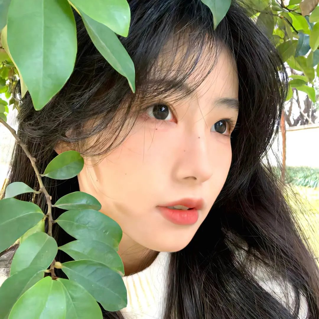 心荡神驰