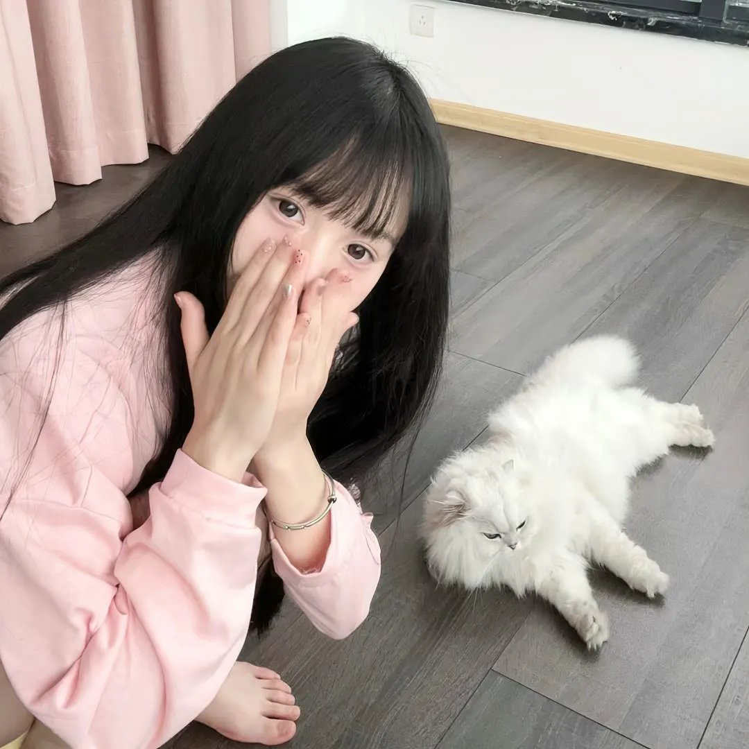 神龙策